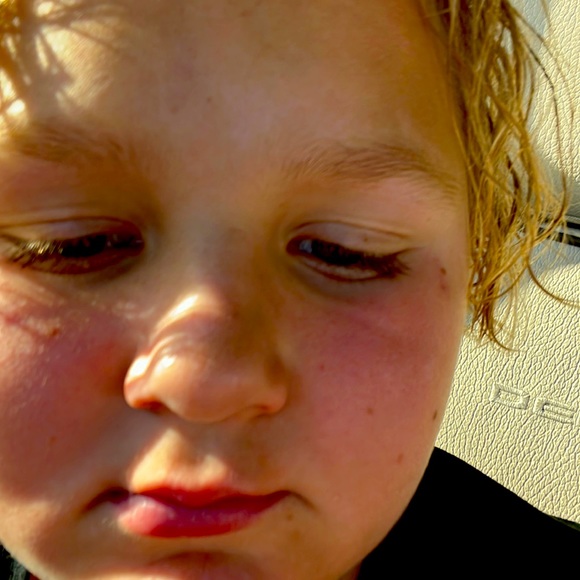 Hamburger - Picture 1 of 3